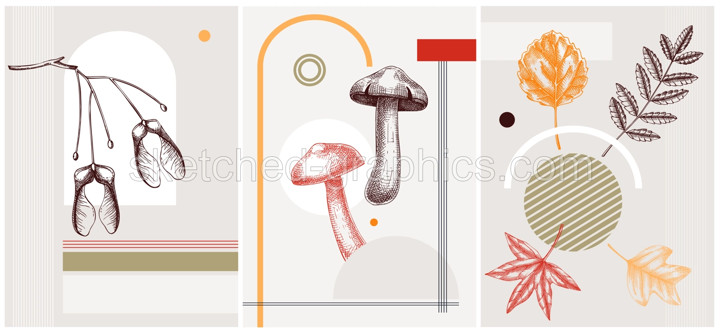 Collage style autumn vector illustration. Sketched leaves and dried flowers. Trendy fall design with botanical, geometric shapes, and abstract elements. For print, poster, card, social media Illustration